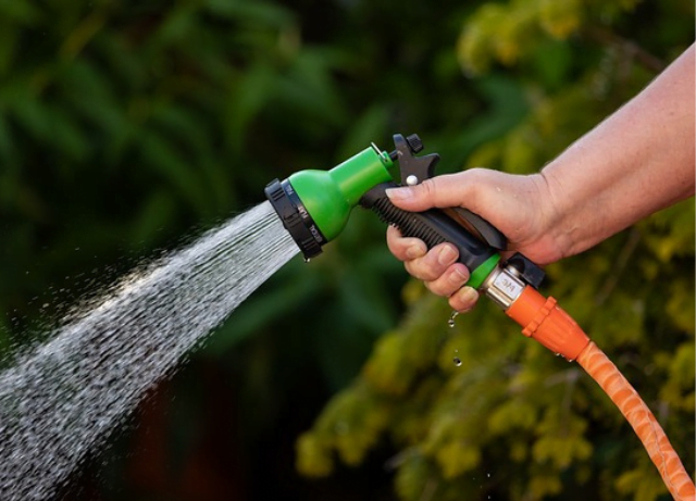 Watering Wisdom: Tips for Determining the Right Schedule for Your Garden