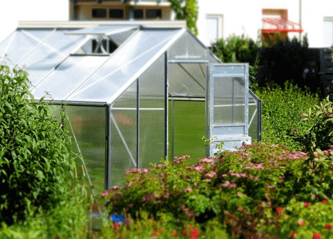 Greenhouse