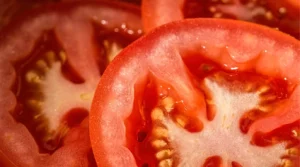 Learn 7 essential tips for growing tomato seeds. From planting to harvest, grow healthy, thriving tomatoes in your home garden with ease.