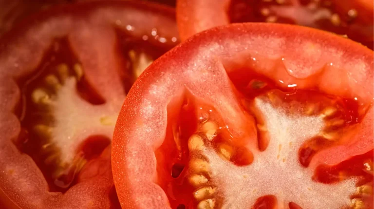Learn 7 essential tips for growing tomato seeds. From planting to harvest, grow healthy, thriving tomatoes in your home garden with ease.