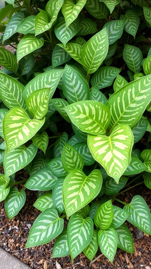 Close-up of Aucuba leaves showcasing their glossy green surface with yellow speckles.
