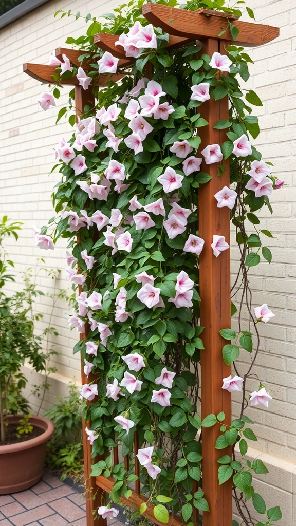 A trellis covered with pink flowering vines against a light-colored wall.