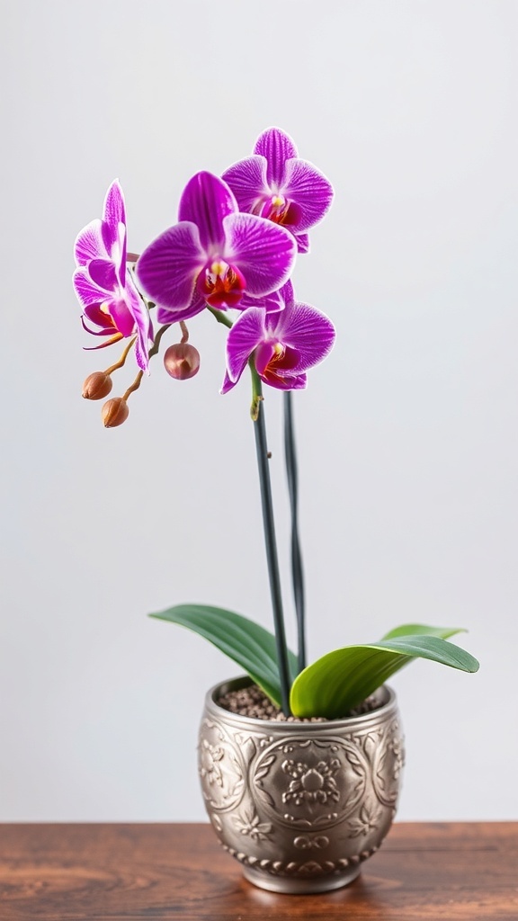 A beautiful purple orchid in a decorative pot.